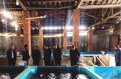 懷化市畜牧水產(chǎn)事務(wù)中心調(diào)研芷江漁業(yè)產(chǎn)業(yè)鏈發(fā)展，探索汽車裝飾用品跨界融合新機(jī)遇